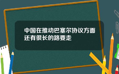 中国在推动巴塞尔协议方面还有很长的路要走