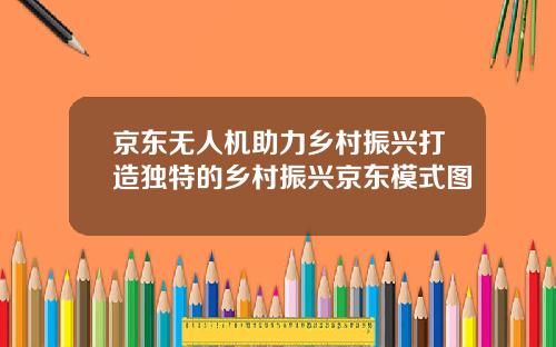 京东无人机助力乡村振兴打造独特的乡村振兴京东模式图