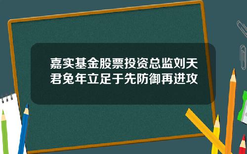 嘉实基金股票投资总监刘天君兔年立足于先防御再进攻