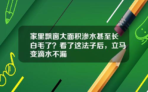 家里飘窗大面积渗水甚至长白毛了？看了这法子后，立马变滴水不漏