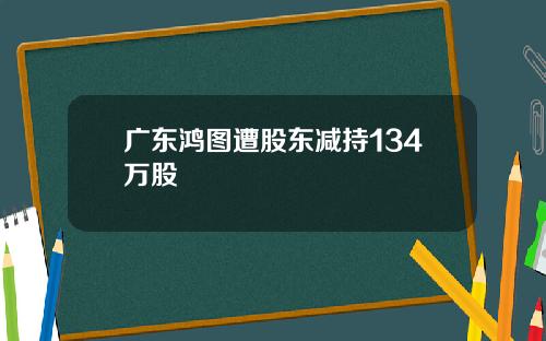 广东鸿图遭股东减持134万股