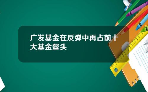 广发基金在反弹中再占前十大基金鳌头