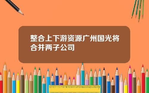 整合上下游资源广州国光将合并两子公司