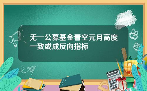 无一公募基金看空元月高度一致或成反向指标