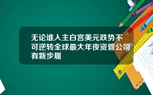 无论谁入主白宫美元跌势不可逆转全球最大年夜资管公司有新步履