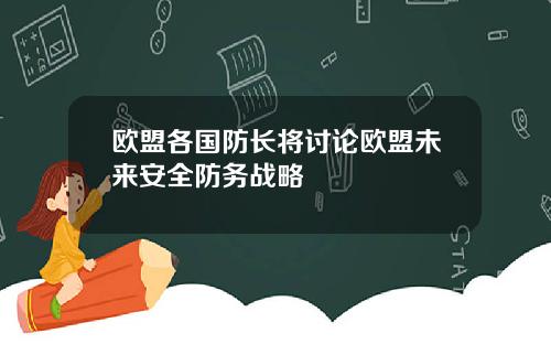 欧盟各国防长将讨论欧盟未来安全防务战略