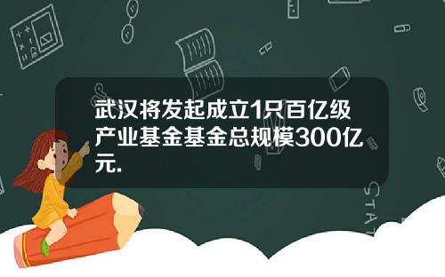 武汉将发起成立1只百亿级产业基金基金总规模300亿元.