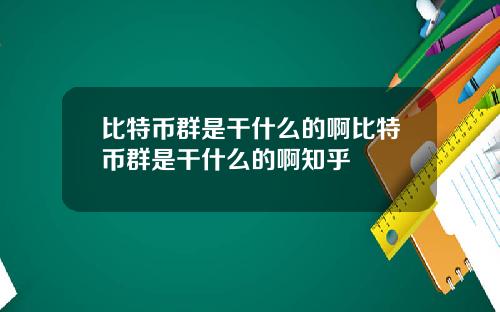 比特币群是干什么的啊比特币群是干什么的啊知乎