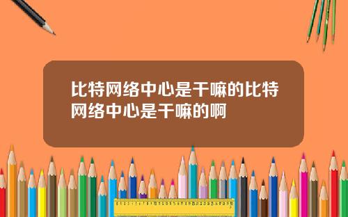 比特网络中心是干嘛的比特网络中心是干嘛的啊