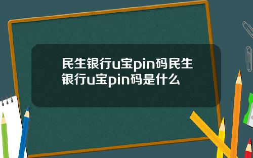 民生银行u宝pin码民生银行u宝pin码是什么