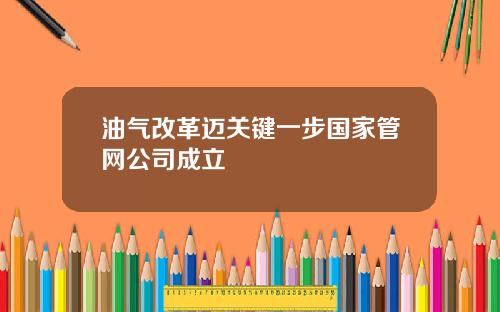 油气改革迈关键一步国家管网公司成立