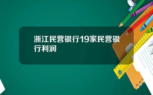 浙江民营银行19家民营银行利润