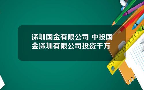 深圳国金有限公司 中投国金深圳有限公司投资千万