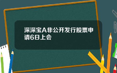 深深宝A非公开发行股票申请6日上会