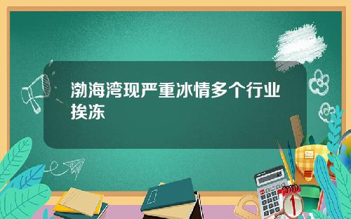 渤海湾现严重冰情多个行业挨冻