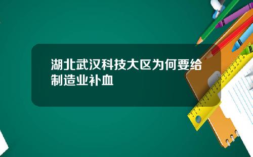 湖北武汉科技大区为何要给制造业补血