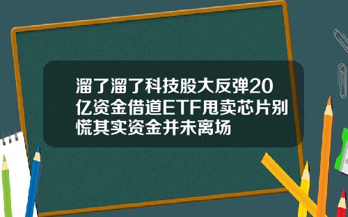 溜了溜了科技股大反弹20亿资金借道ETF甩卖芯片别慌其实资金并未离场