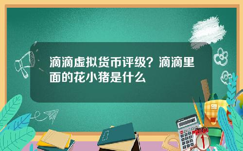 滴滴虚拟货币评级？滴滴里面的花小猪是什么