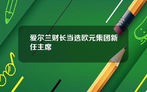 爱尔兰财长当选欧元集团新任主席