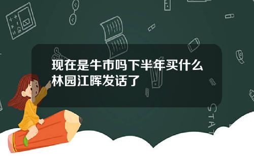 现在是牛市吗下半年买什么林园江晖发话了