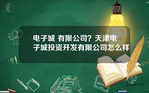 电子城 有限公司？天津电子城投资开发有限公司怎么样