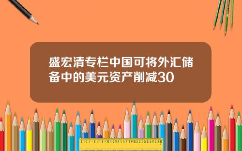 盛宏清专栏中国可将外汇储备中的美元资产削减30