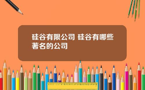 硅谷有限公司 硅谷有哪些著名的公司