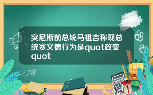 突尼斯前总统马祖吉称现总统赛义德行为是quot政变quot