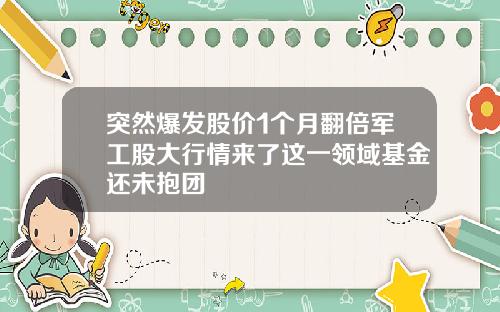 突然爆发股价1个月翻倍军工股大行情来了这一领域基金还未抱团