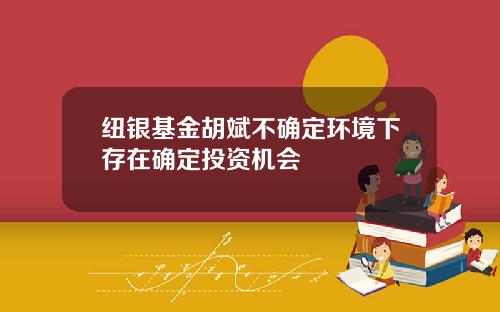 纽银基金胡斌不确定环境下存在确定投资机会