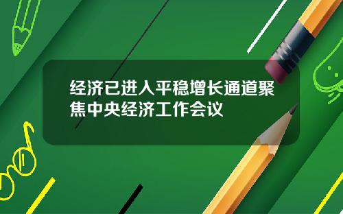 经济已进入平稳增长通道聚焦中央经济工作会议