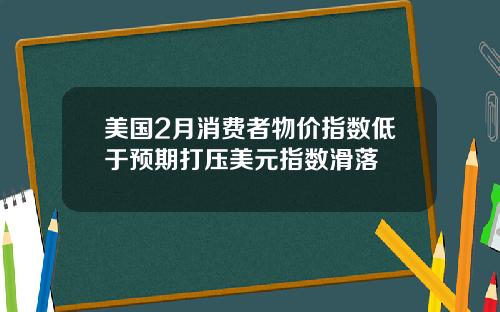 美国2月消费者物价指数低于预期打压美元指数滑落