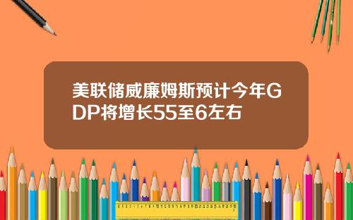 美联储威廉姆斯预计今年GDP将增长55至6左右