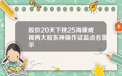 股价20天下挫25海康威视两大股东神操作证监点名警示