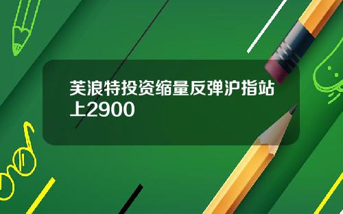 芙浪特投资缩量反弹沪指站上2900