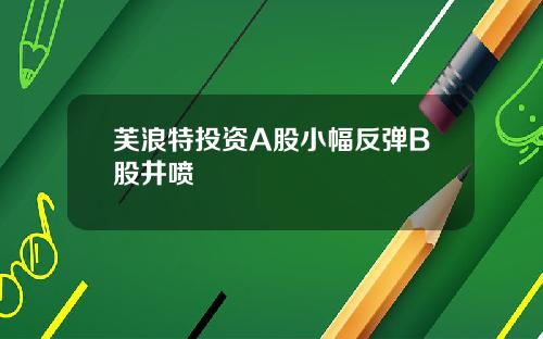 芙浪特投资A股小幅反弹B股井喷