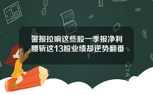 警报拉响这些股一季报净利腰斩这13股业绩却逆势翻番