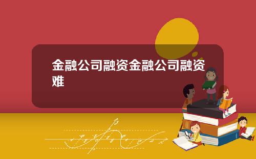 金融公司融资金融公司融资难