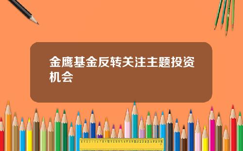 金鹰基金反转关注主题投资机会