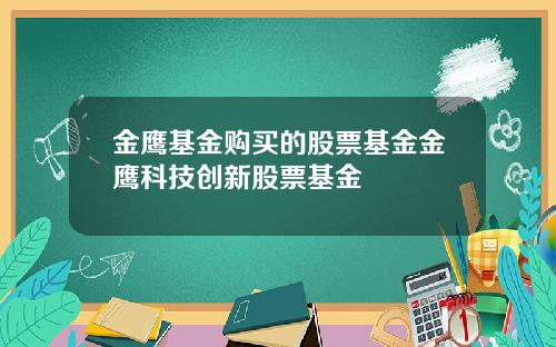 金鹰基金购买的股票基金金鹰科技创新股票基金