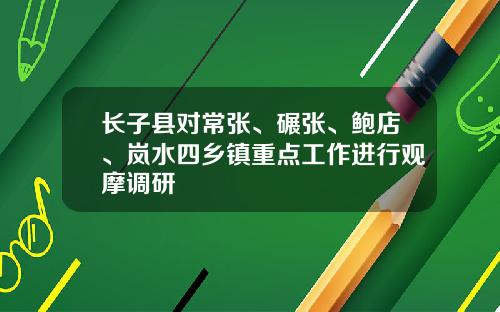 长子县对常张、碾张、鲍店、岚水四乡镇重点工作进行观摩调研