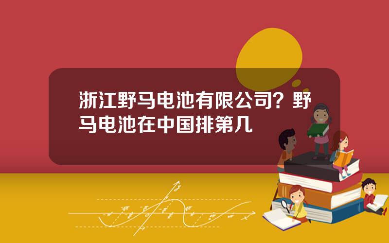 浙江野马电池有限公司？野马电池在中国排第几