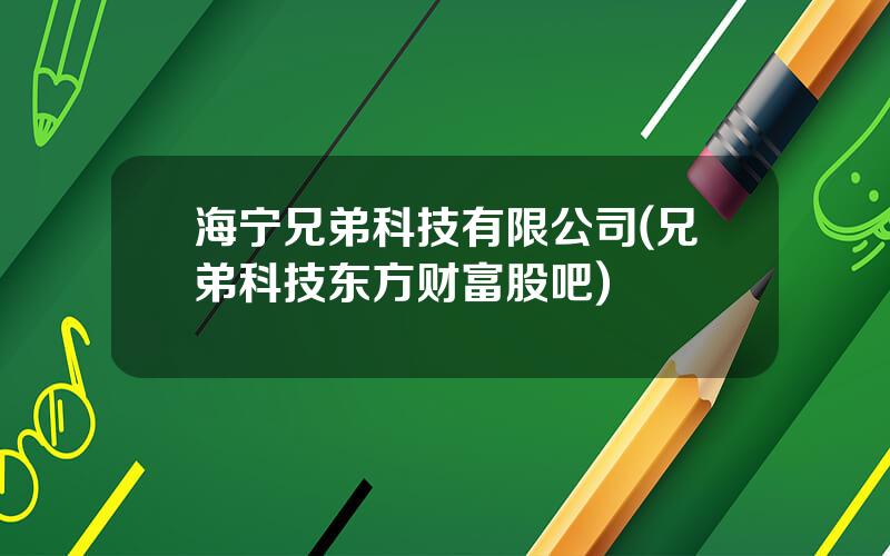 海宁兄弟科技有限公司(兄弟科技东方财富股吧)