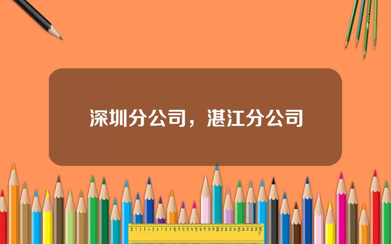 深圳分公司，湛江分公司