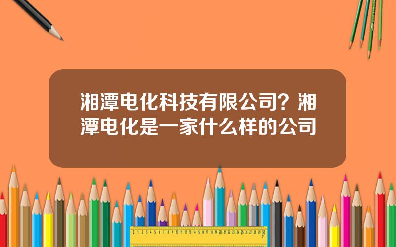 湘潭电化科技有限公司？湘潭电化是一家什么样的公司