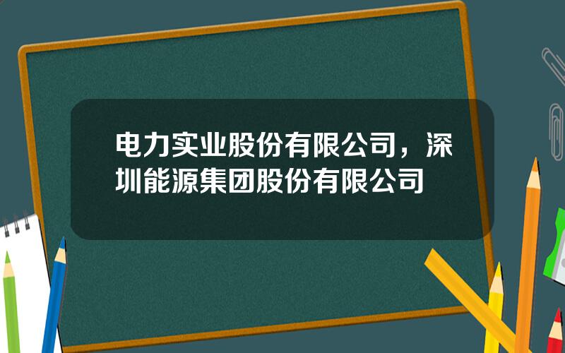 电力实业股份有限公司，深圳能源集团股份有限公司