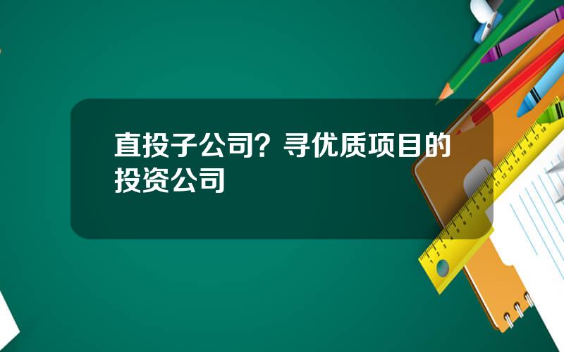 直投子公司？寻优质项目的投资公司