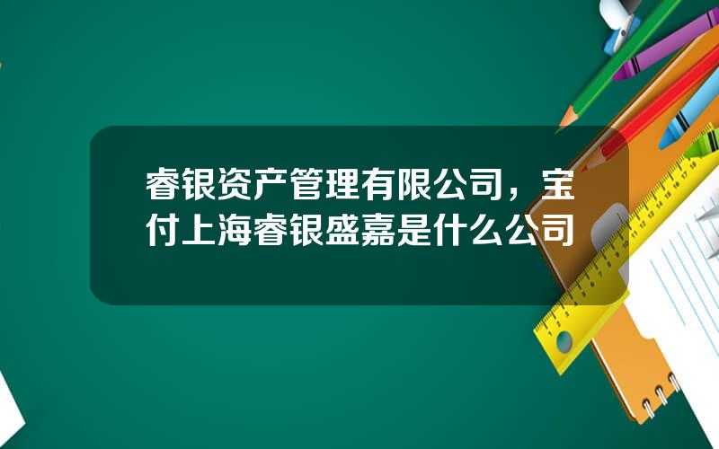 睿银资产管理有限公司，宝付上海睿银盛嘉是什么公司