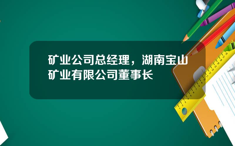 矿业公司总经理，湖南宝山矿业有限公司董事长