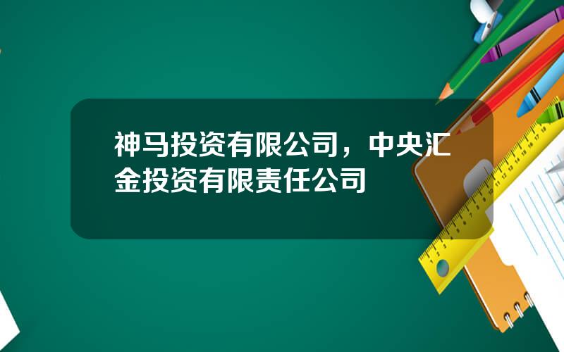 神马投资有限公司，中央汇金投资有限责任公司